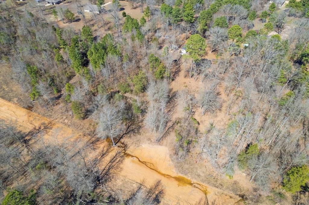 Piney Woods Estates - Land