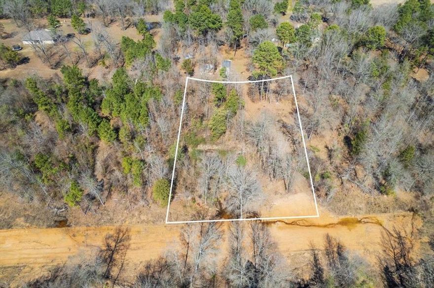Welcome to Piney Woods Estates! Newest subdivision only minutes from Northeast Texas Community College & Chapel Hill ISD. Be the first to delight from the perfect opportunity to build your dream home on ready to build 1 acre lot! Offering plenty of room to create your ideal homestead and enjoy the beauty of country living. The impossible dream... fulfilled!