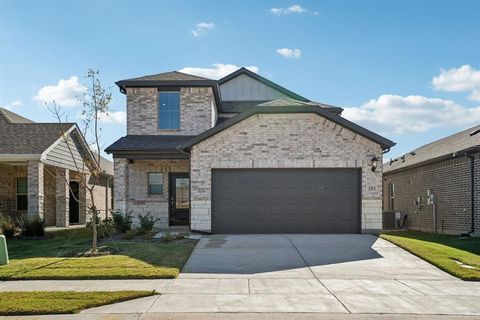 203 Greenbriar Drive Princeton TX 75071