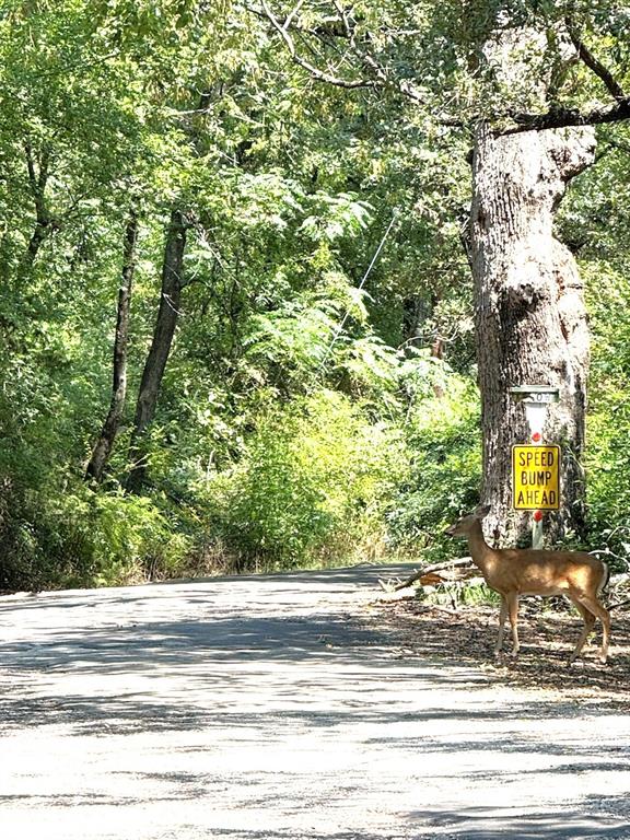 Willow Lake Unit 2 - Residential