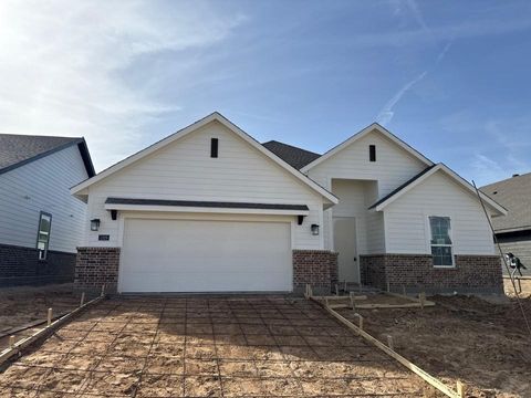 Photo of 1329 Frio Drive, Springtown, TX 76082 (MLS # 21211355)