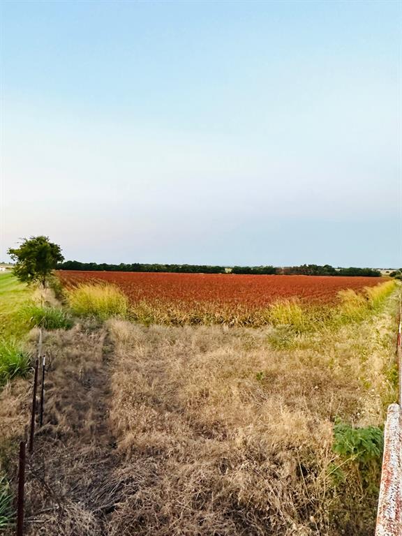 TBD Farm Market 51