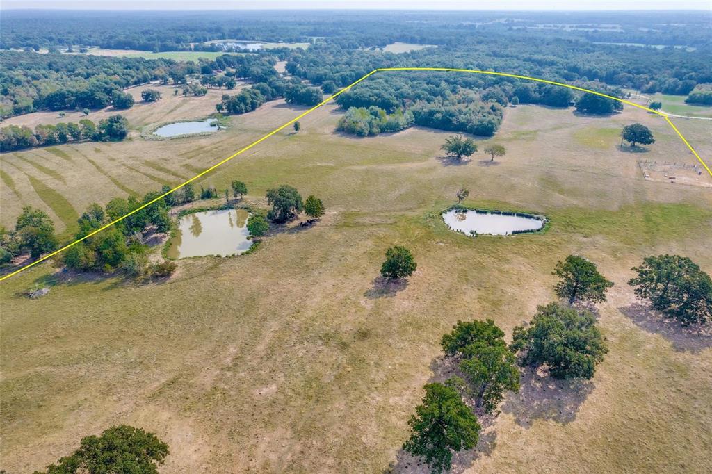 SUR: MATTHEWS ROBERT E - Land