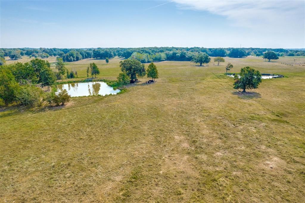 SUR: MATTHEWS ROBERT E - Land