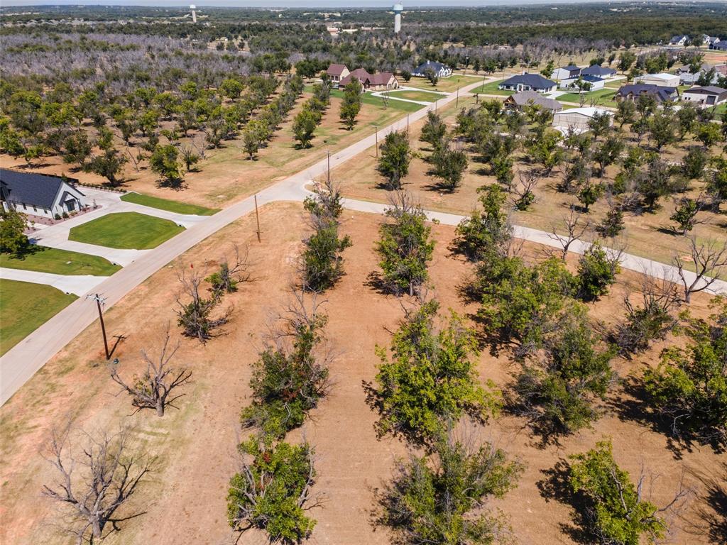 Pecan Plantation - Land