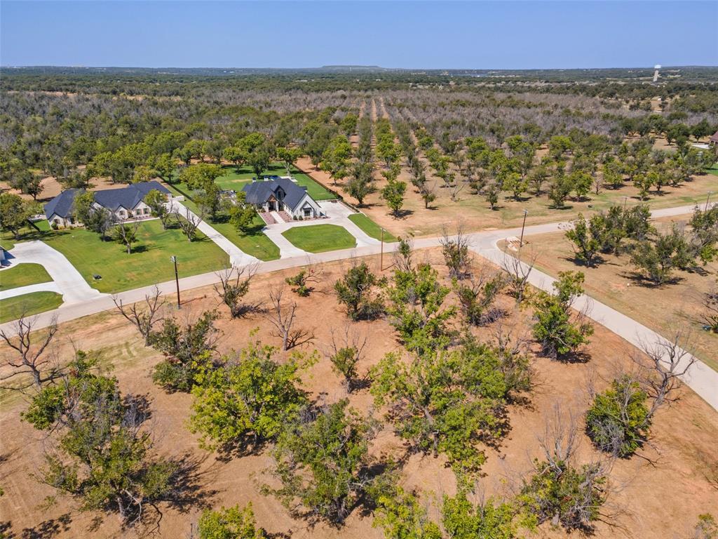 Pecan Plantation - Land