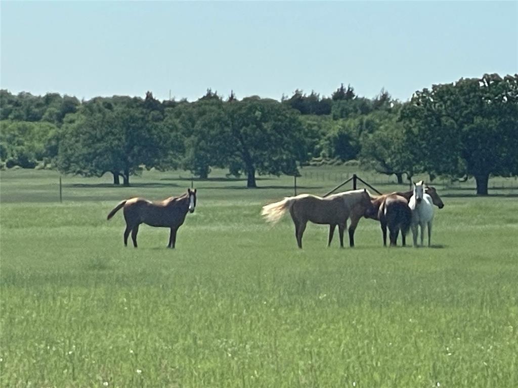 A T Mcgee Surv Abs #414 - Farm