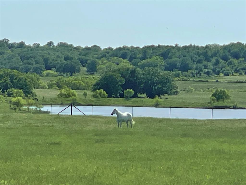 A T Mcgee Surv Abs #414 - Farm