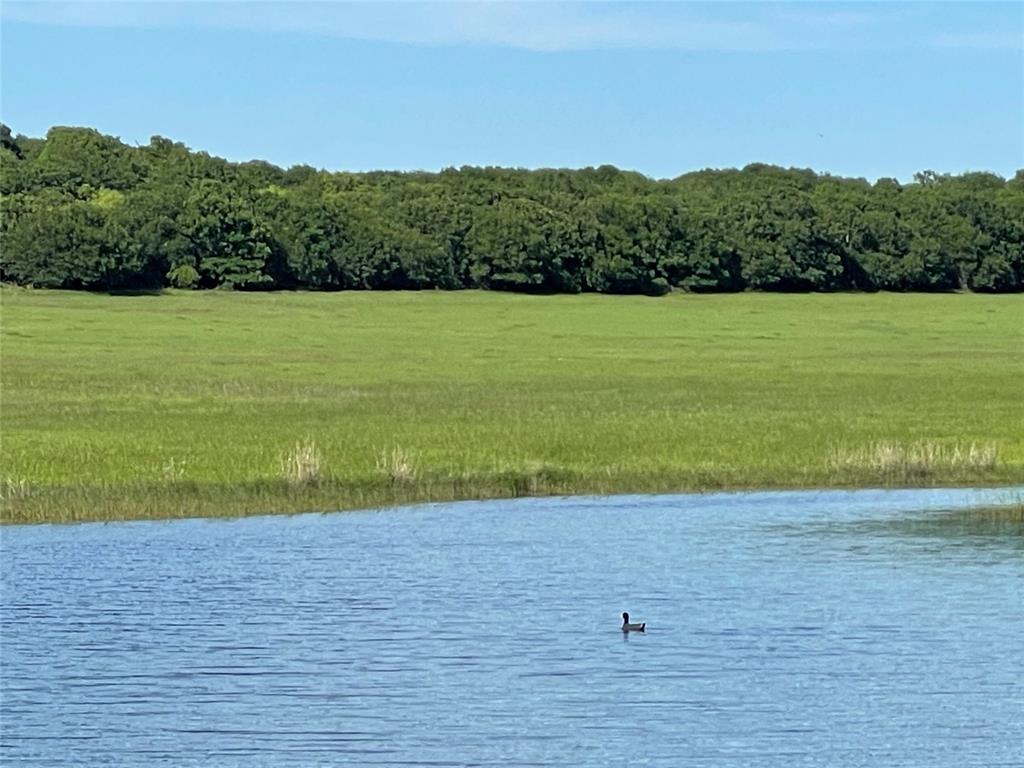 A T Mcgee Surv Abs #414 - Farm