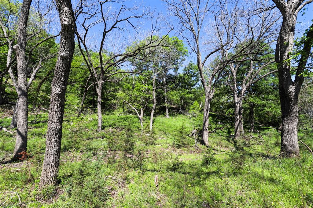 tbd Oglesby Neff Park Road