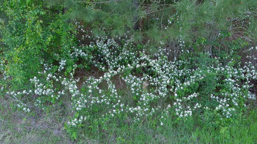 J W Hughes - Residential