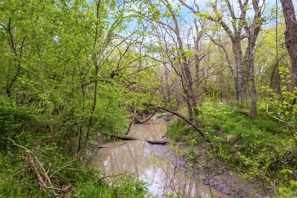 David F Williams - Land