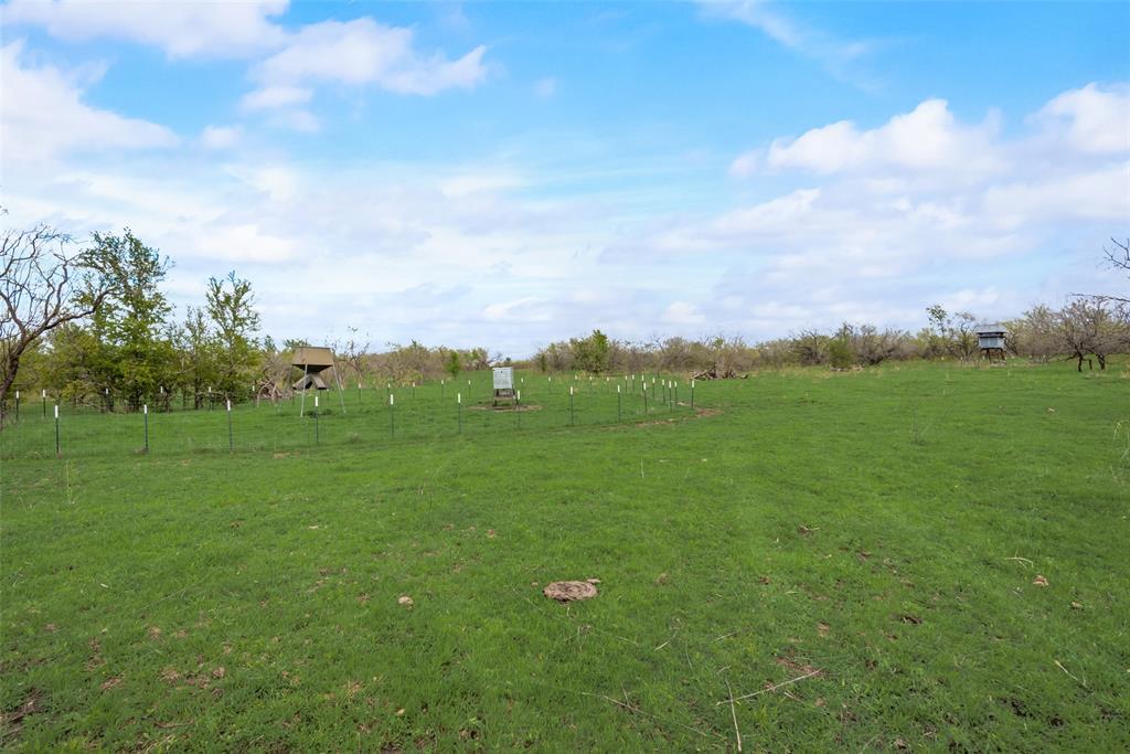 David F Williams - Land