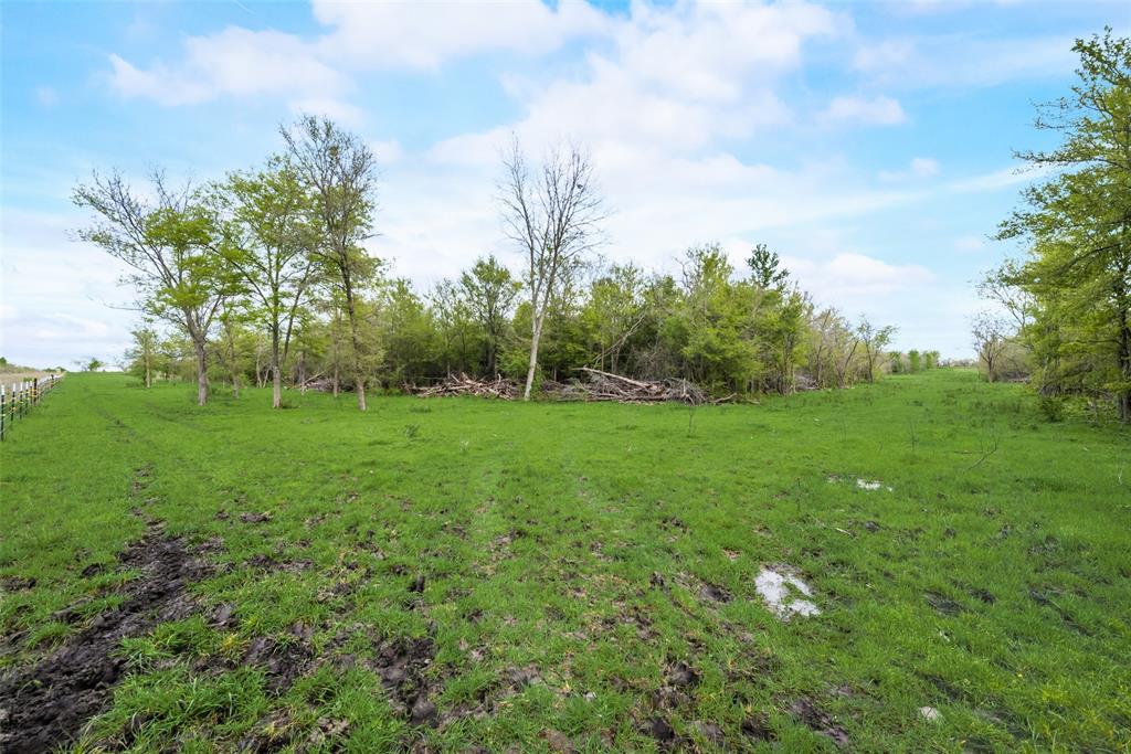 David F Williams - Land