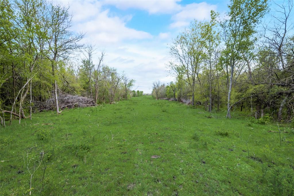 David F Williams - Land