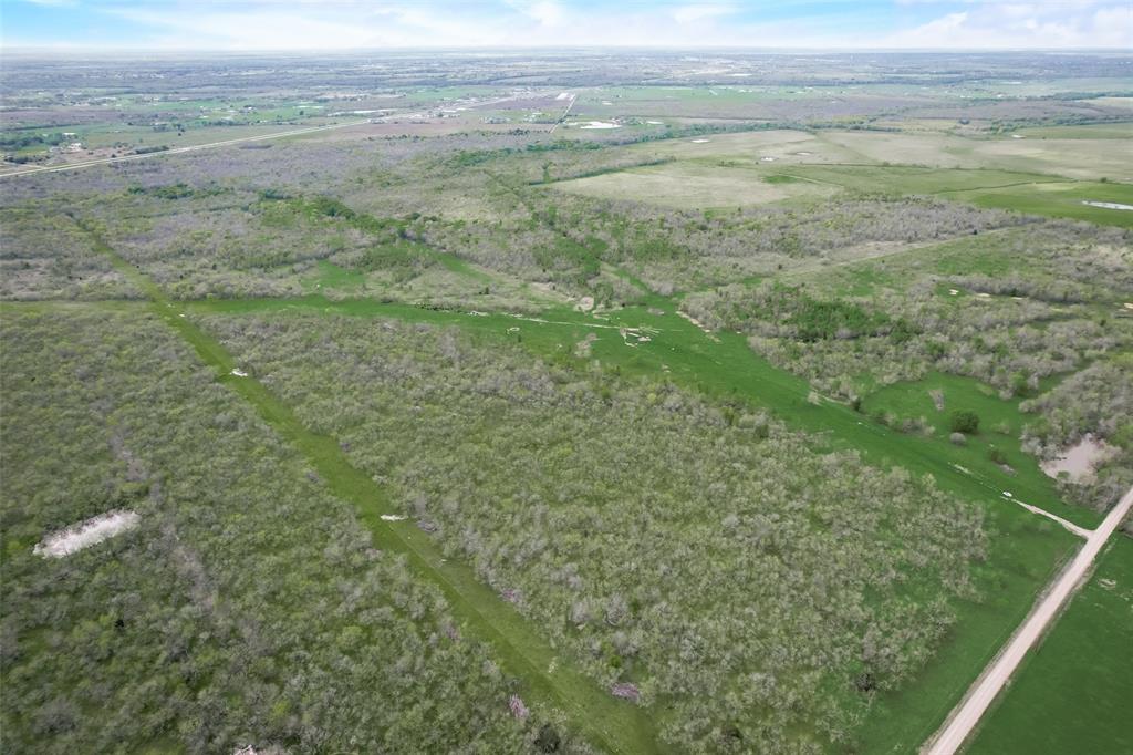 David F Williams - Land