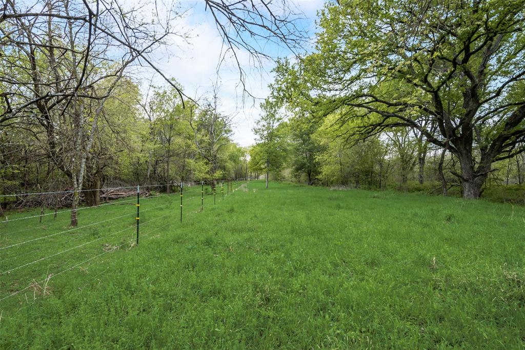 TBD Cr-146 Tract 55