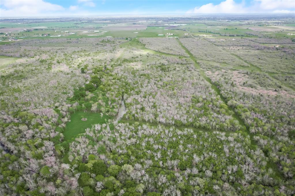 David F Williams - Land