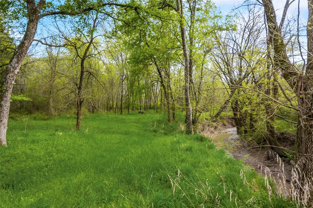 TBD Cr-146 Tract 55