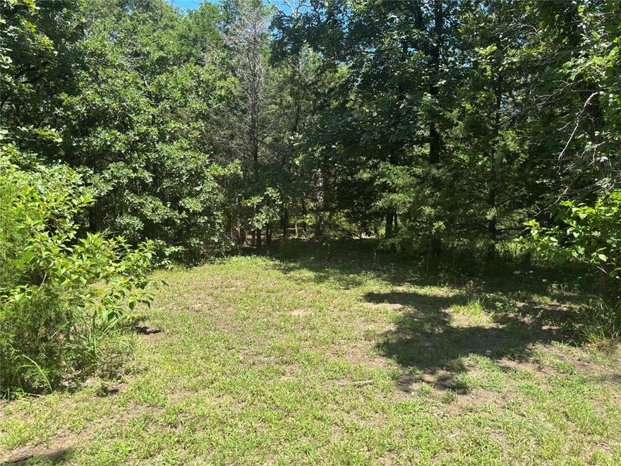 Experience Peace and Privacy in this beautiful partially wooded 1-acre lot surrounded with nice homes on acreage. Rural tranquility and yet convenient to shopping and nearby park, and Lake Tawakoni is just a few miles away!  Easy access to both I-30 and Hwy 276! Existing water tap, and electricity at street. Surrounded by nature, you’ll enjoy the serenity of country living, yet close to amenities. Plenty of room for RV or boat parking. Deed restrictions. FAMILY ESTATE POSSIBLE-Beautiful stone and brick home on 2.5 acres MLS 20970291. White brick and stone home on 1 acre MLS 20969865. Adjacent lot MLS 20970204.  Call listing agent for more details. No mobiles allowed.