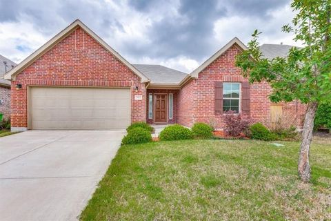 Photo of 1013 Bird Creek Drive, Little Elm, TX 75068 (MLS # 21136579)