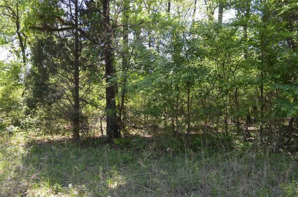 LOT 43 Daniel Boone Lane