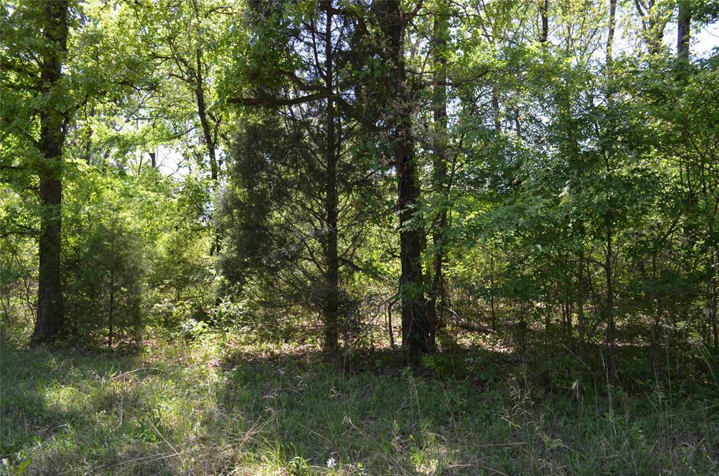 LOT 43 Daniel Boone Lane