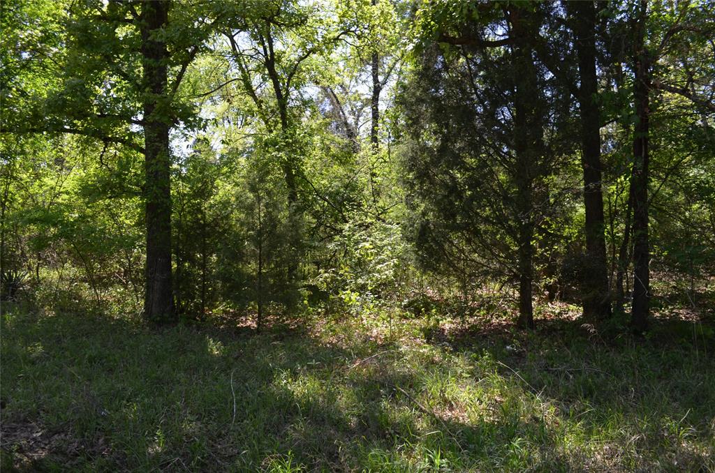 LOT 43 Daniel Boone Lane