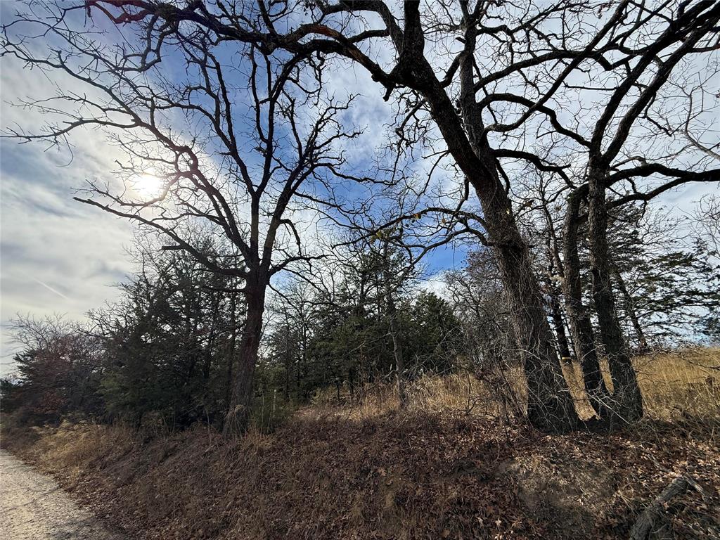 Summit Oaks Ranch Ph One - Land