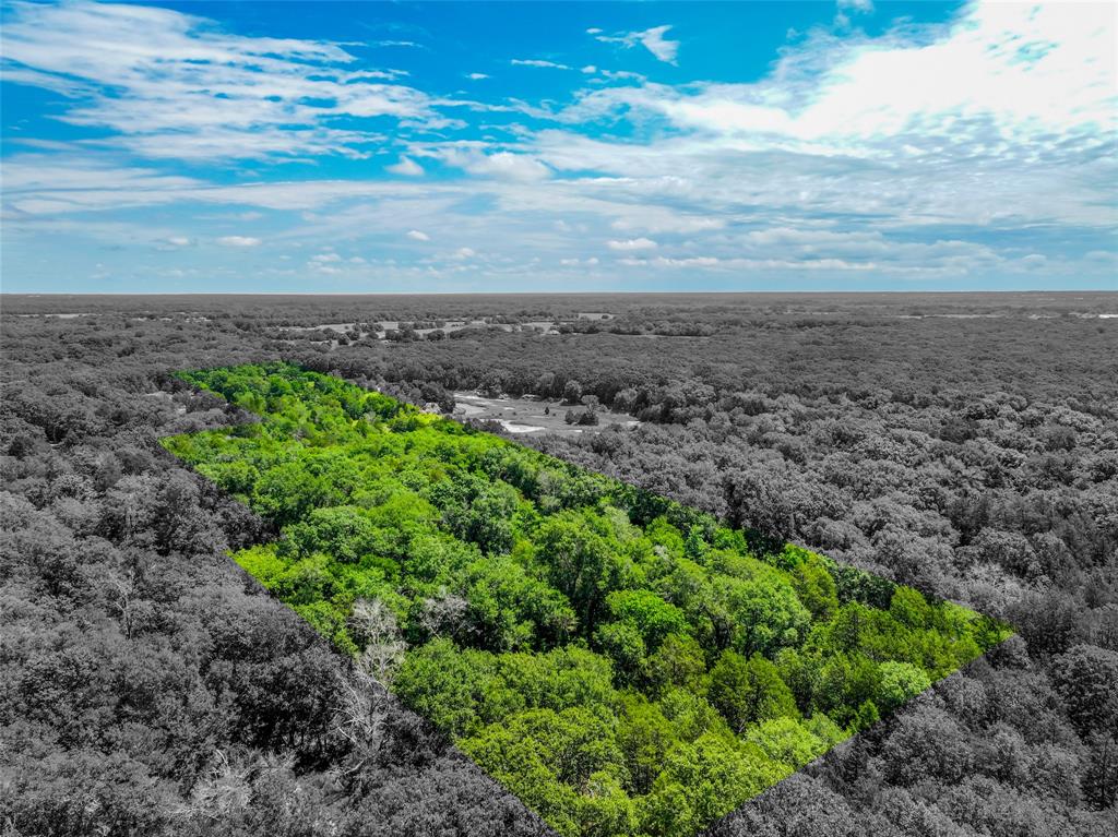 Ashmore Bailey Tr 12 - Land