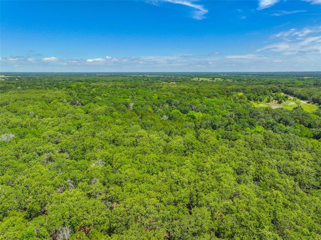 Ashmore Bailey Tr 12 - Land