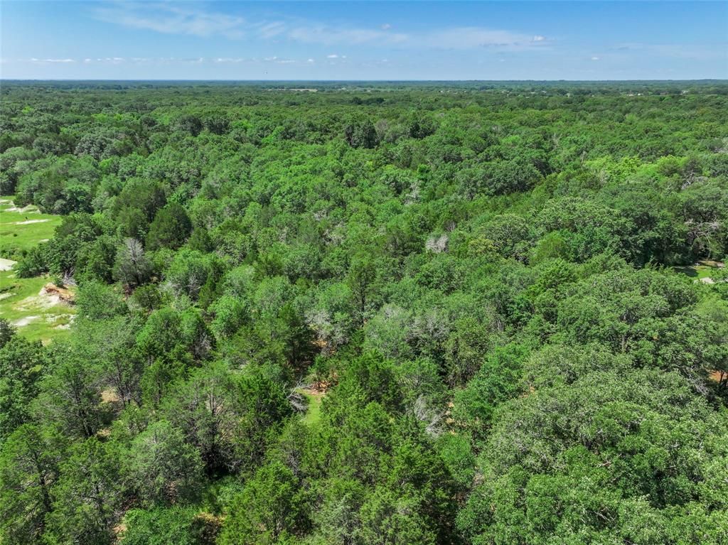 Ashmore Bailey Tr 12 - Land