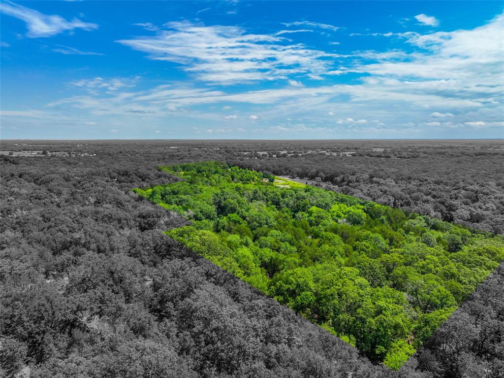 Ashmore Bailey Tr 12 - Land