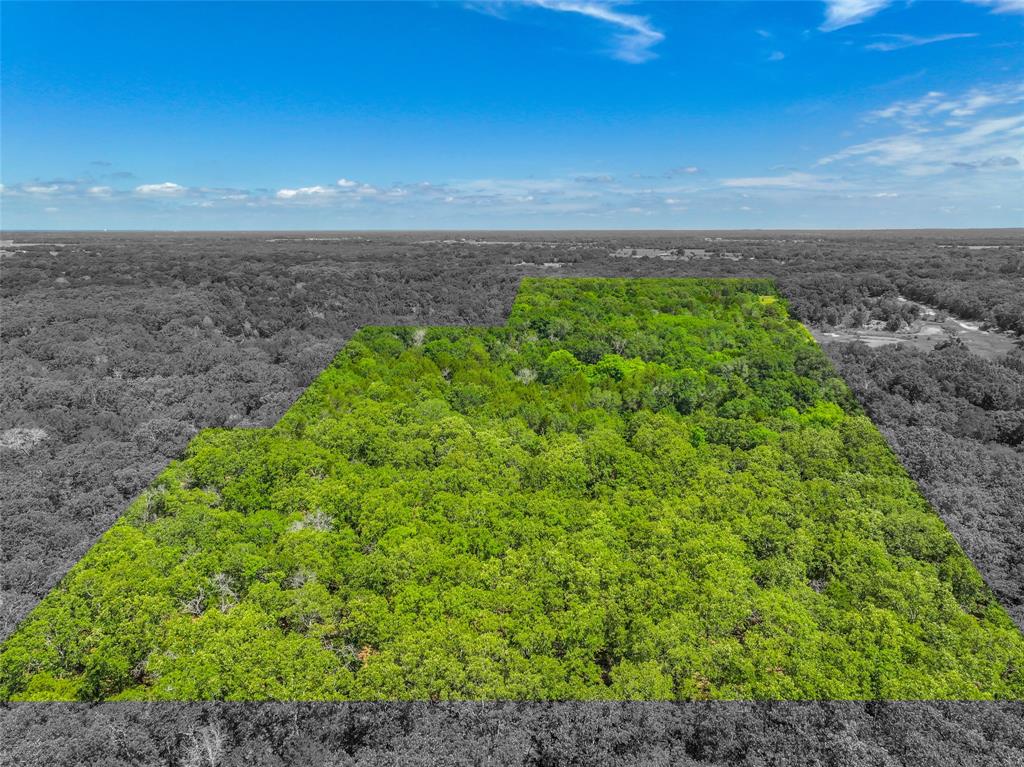 Ashmore Bailey Tr 12 - Land