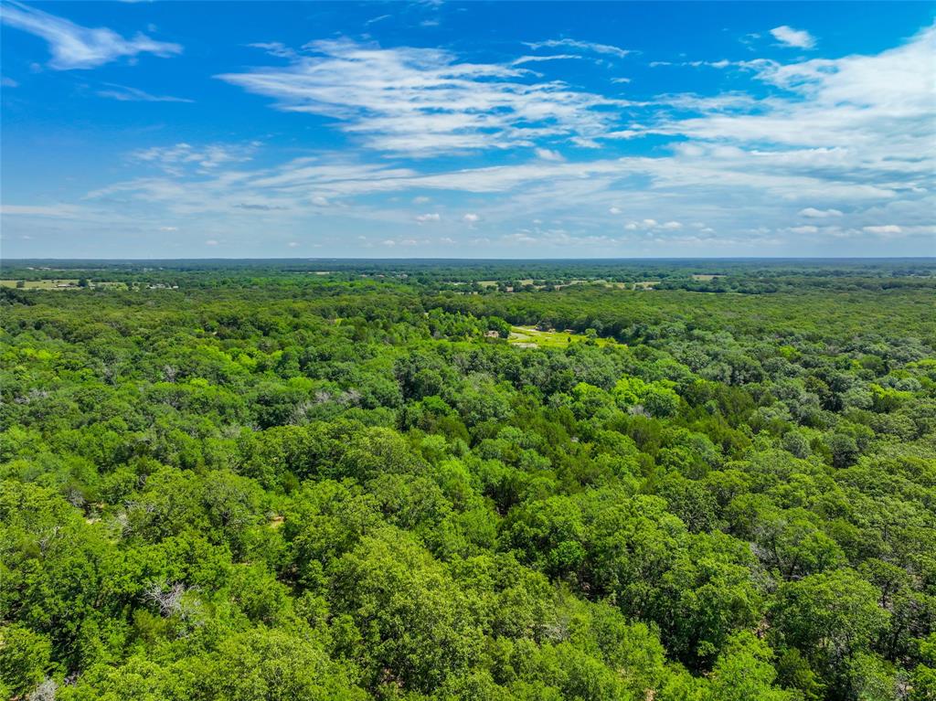 Ashmore Bailey Tr 12 - Land