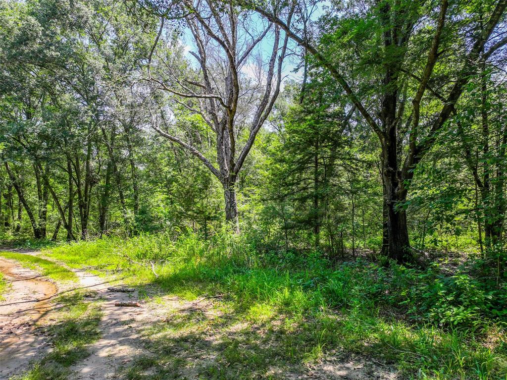 Ashmore Bailey Tr 12 - Land