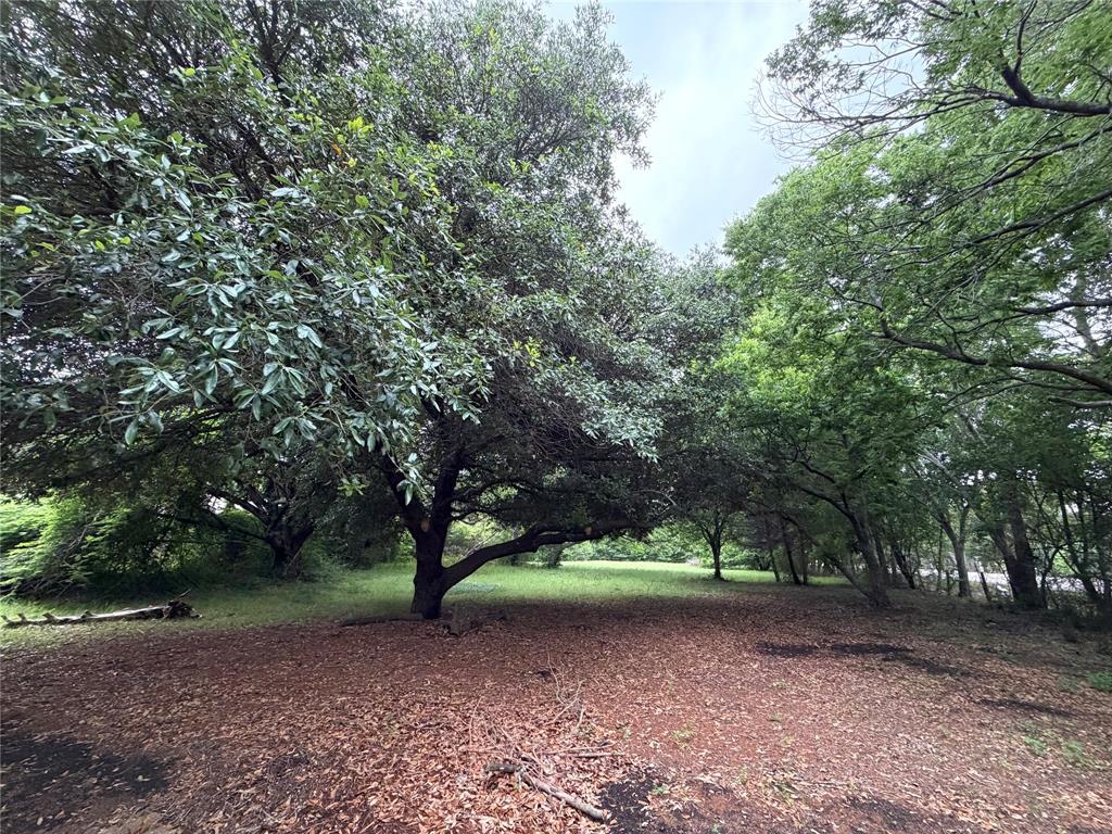 345 Estelle Lane