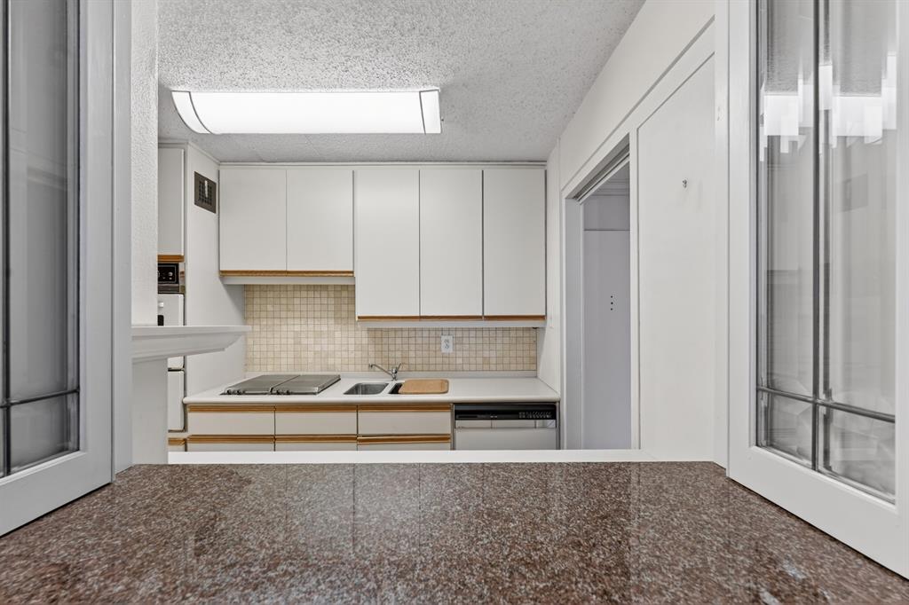 Twenty-One Turtle Creek Condo - Residential