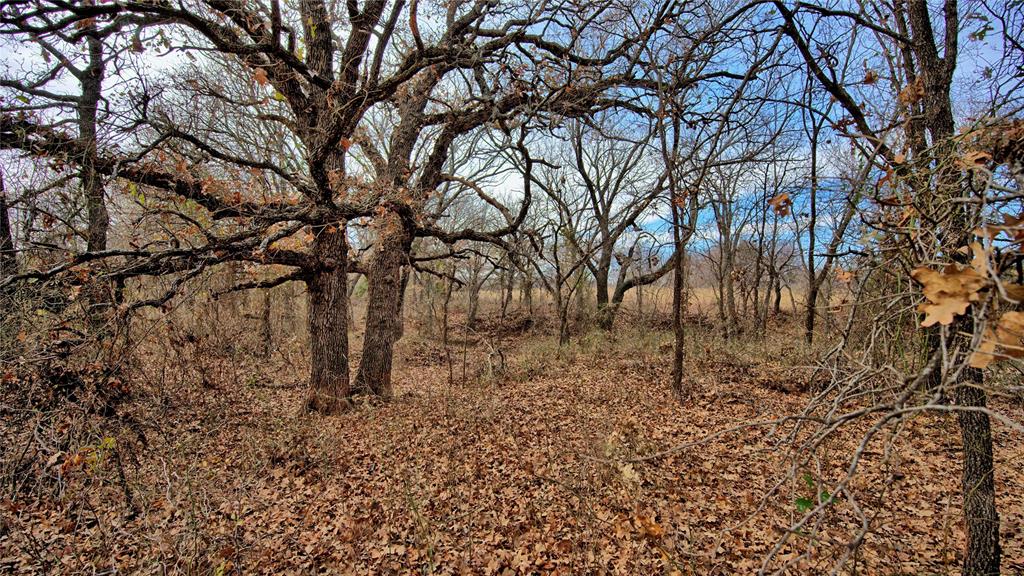 G Leonard Surv A-431 - Residential