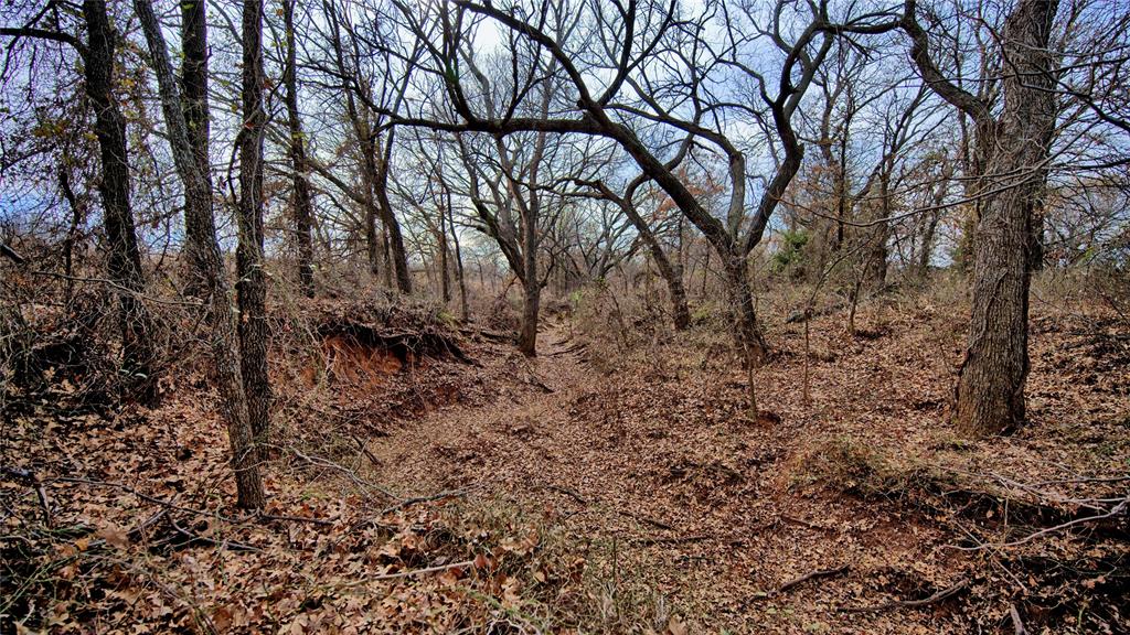 G Leonard Surv A-431 - Residential