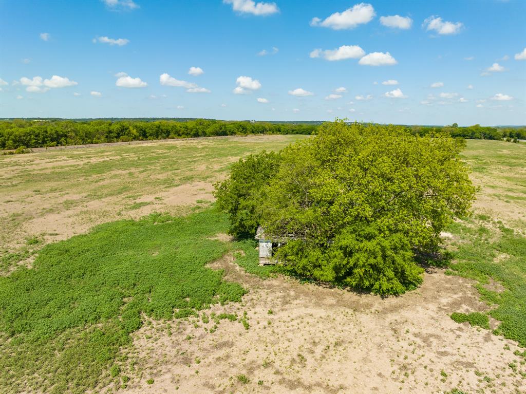 Pedro Lopez Surv Abst #473 - Farm