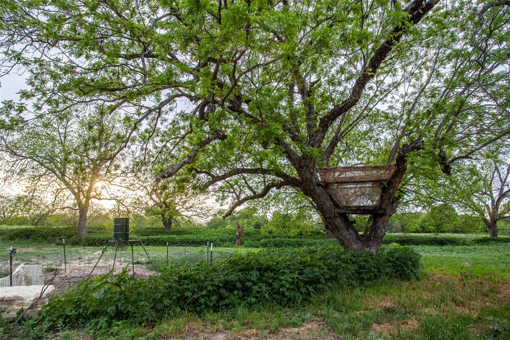 Pedro Lopez Surv Abst #473 - Farm