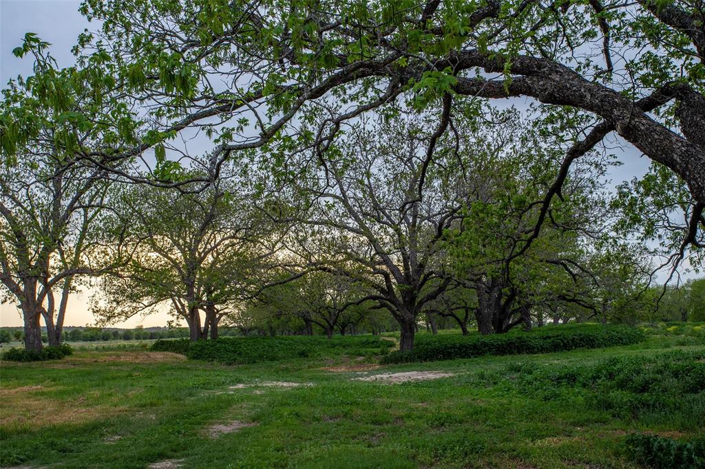 Pedro Lopez Surv Abst #473 - Farm