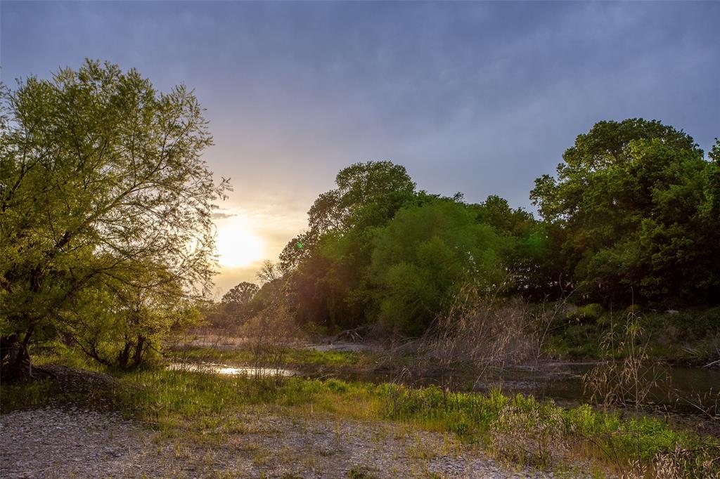 Pedro Lopez Surv Abst #473 - Farm