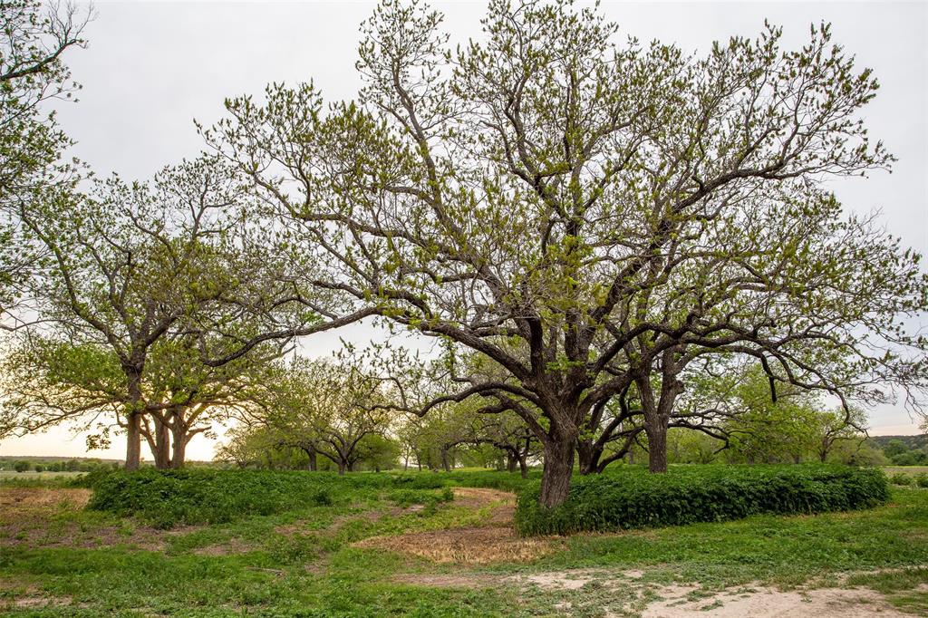 Pedro Lopez Surv Abst #473 - Farm