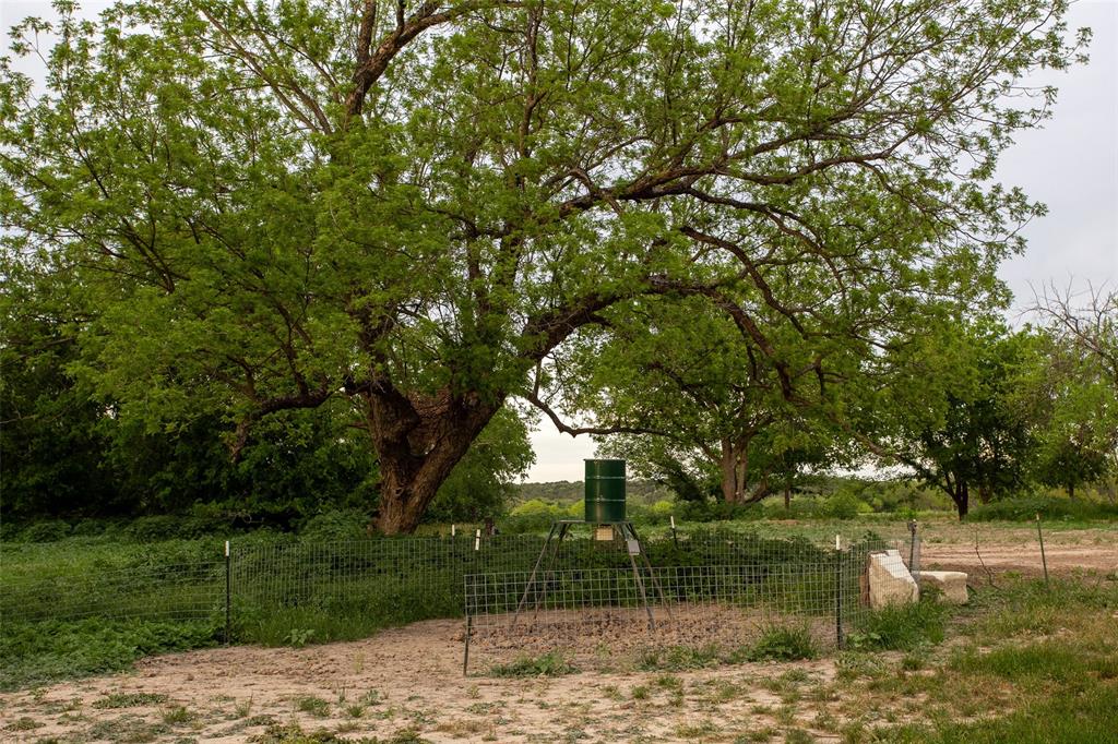 Pedro Lopez Surv Abst #473 - Farm