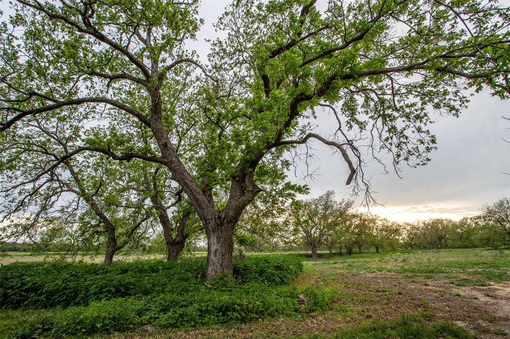 Pedro Lopez Surv Abst #473 - Farm