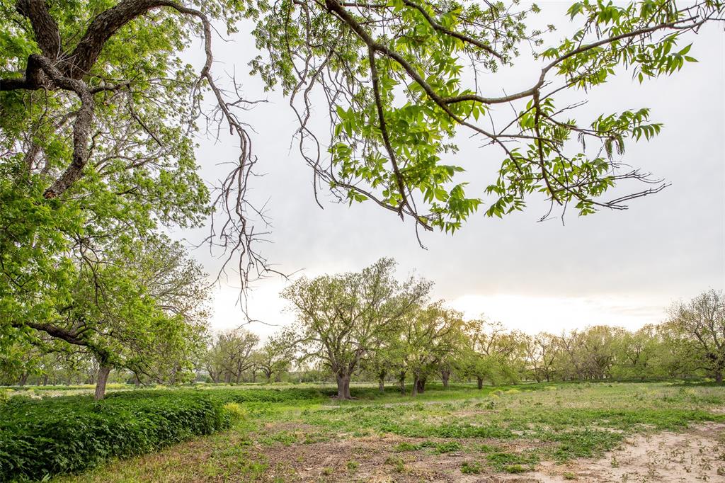 Pedro Lopez Surv Abst #473 - Farm