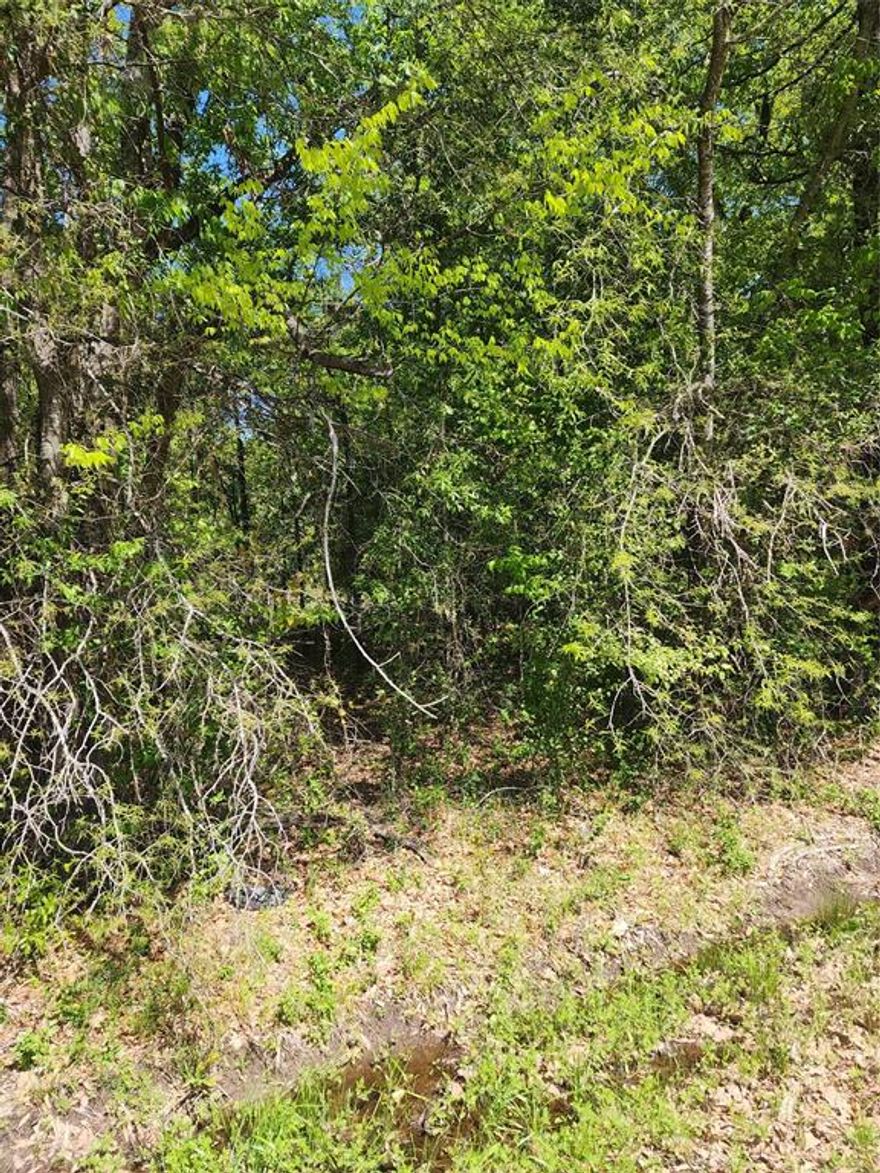 Nice almost half acre lot that will need to be cleared to build your home. No survey, buyer to purchase if needed. Minimum Sq Ft to build is 1600 sq ft.