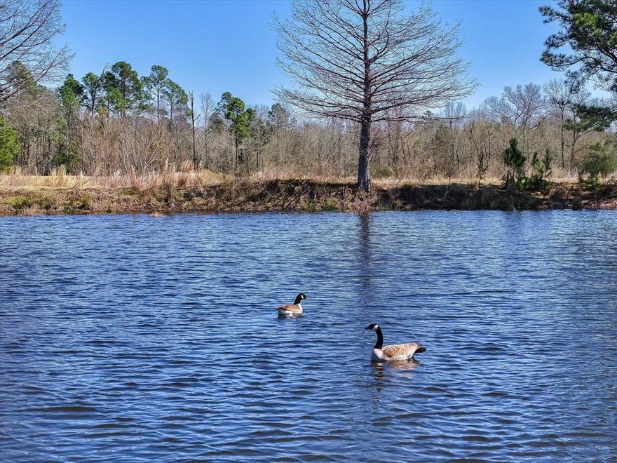 Explore this exceptional 26+ acre property prominently located on State Highway 64, just east of Ben Wheeler, Texas. The land is thoughtfully cleared and meticulously maintained, making it ideal for agricultural use and ready for your next farming venture or homestead. Featuring two large, picturesque ponds, this property not only enhances agricultural productivity but also offers scenic beauty and recreational possibilities. With its convenient highway access and versatile landscape, this tract is ideal for those seeking the charm of country living combined with practicality and investment potential. Seize this opportunity to own prime East Texas acreage with endless possibilities!